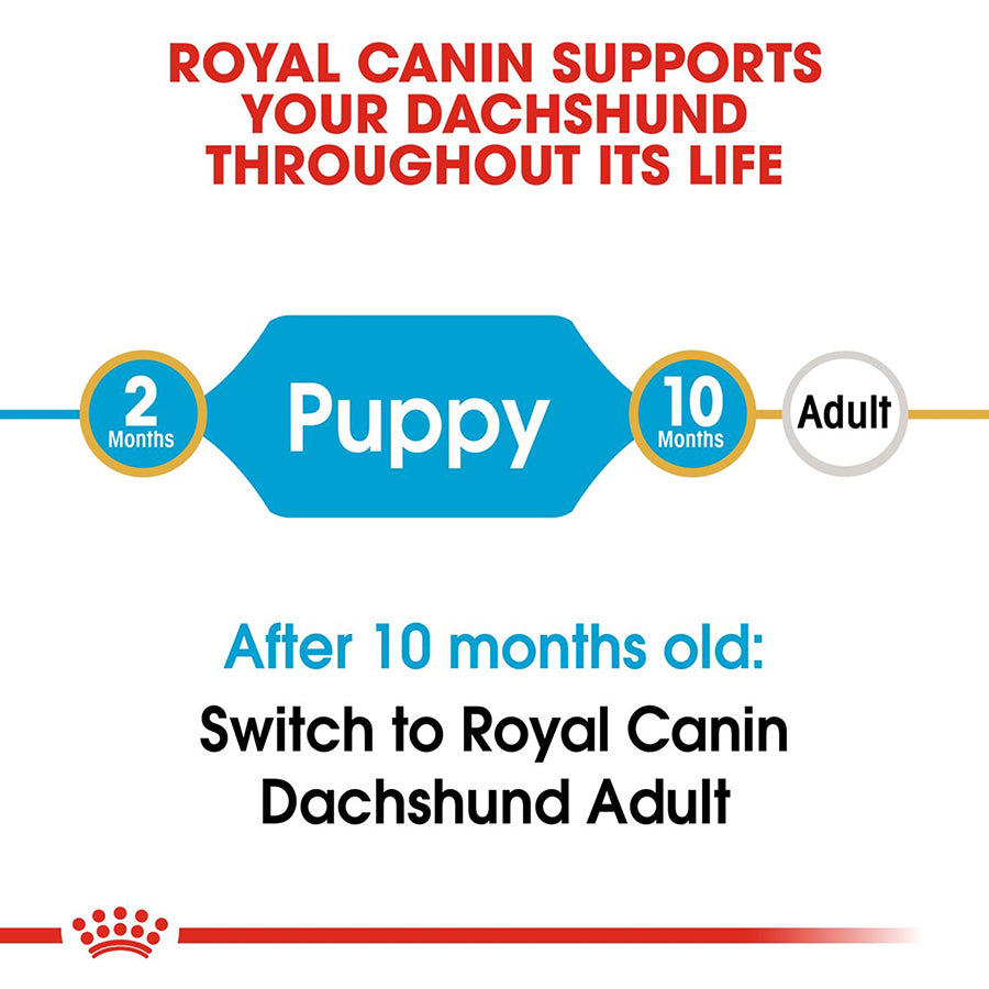 Royal Canin Dachshund feeding chart indicating puppy and adult stages with a red border.