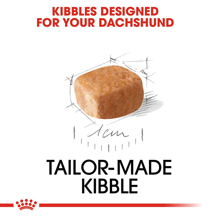 Dog kibble with text 'Kibbles Designed for Your Dachshund' and 'Tailor-Made Kibble' on a white background.