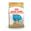 Royal Canin Bulldog Puppy food packaging on a white background