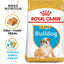 Royal Canin Bulldog puppy bag