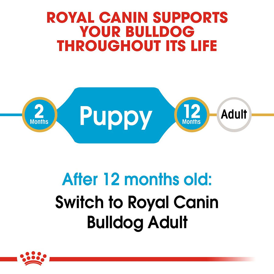 Royal Canin dog food packaging with text about puppy and adult stages and switching to Bulldog Adult after 12 months.