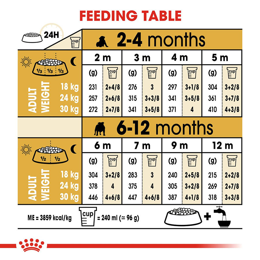 Feeding chart for puppies with measurements and weights