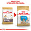 Two packages of Royal Canin Bulldog dog food with text indicating a new look and upgraded formula.