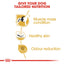 Diagram showing benefits of tailored dog nutrition with icons and text on a white background.