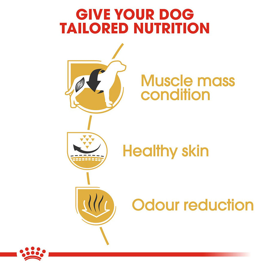 Diagram showing benefits of tailored dog nutrition with icons and text on a white background.