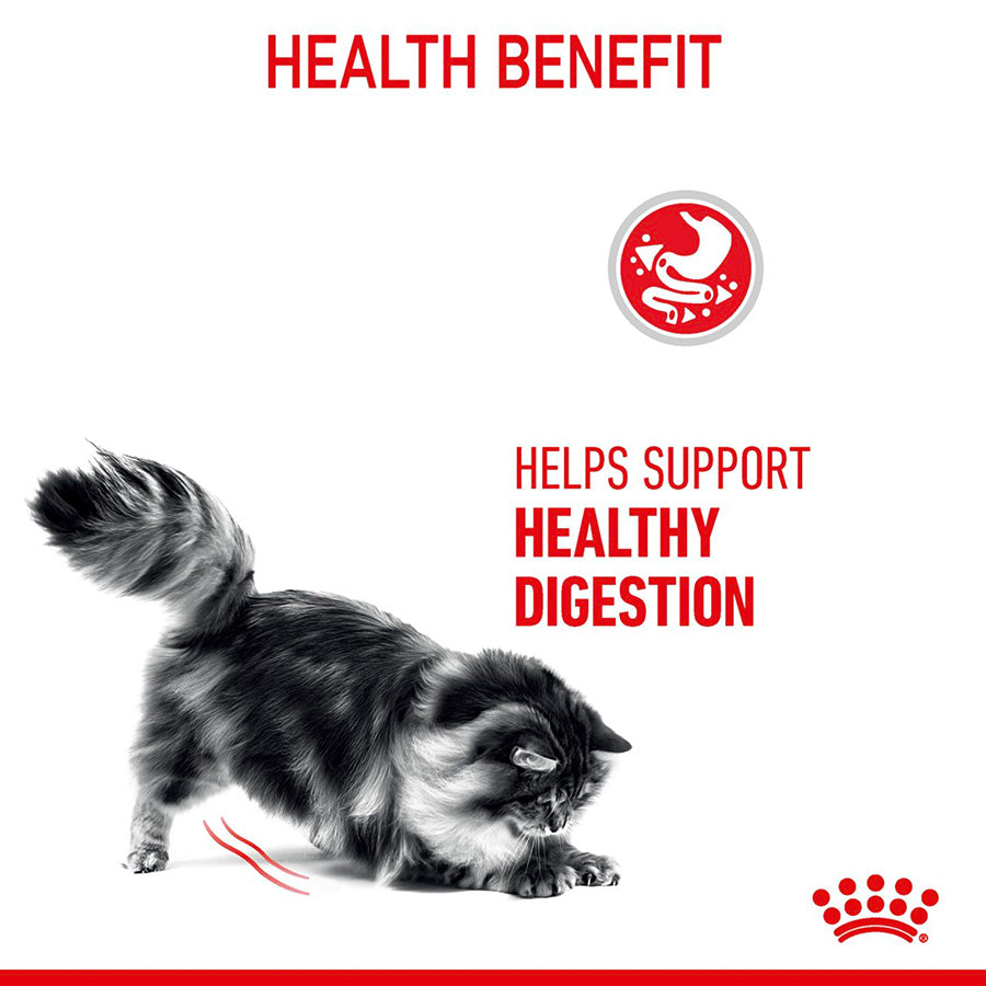 Cat walking on a white background with text about health benefits and a brand logo.