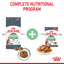 Royal Canin cat food packages with text 'Complete Nutritional Program' on a white background.