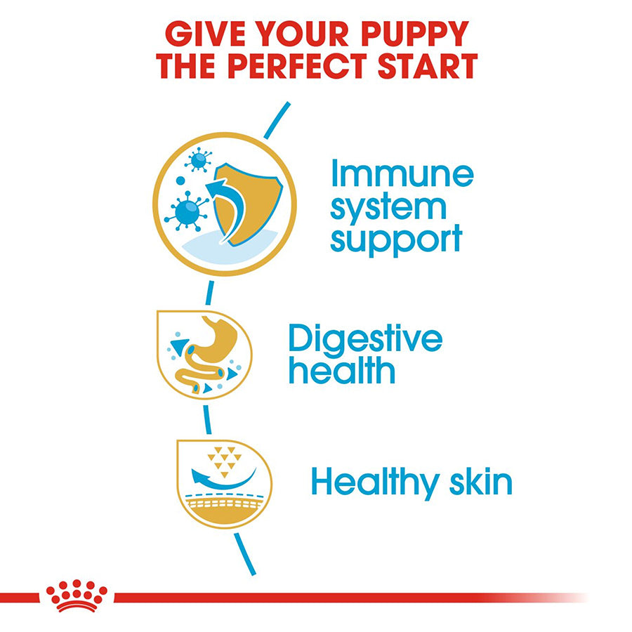 Advertisement for a pet product with icons and text about immune system support, digestive health, and healthy skin.