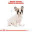 French Bulldog puppy with breed range text and Royal Canin logo on a white background