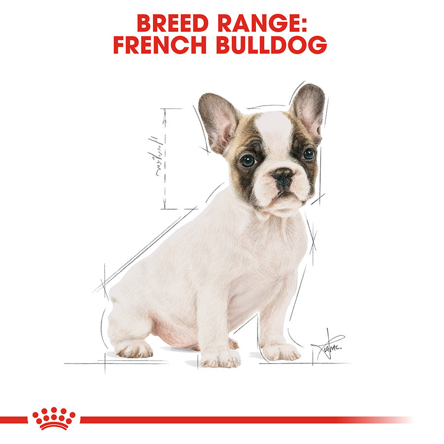 French Bulldog puppy with breed range text and Royal Canin logo on a white background