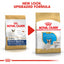 Two packages of Royal Canin French Bulldog dog food with text indicating a new look and upgraded formula.