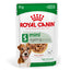 Royal Canin mini ageing dog food package on a white background