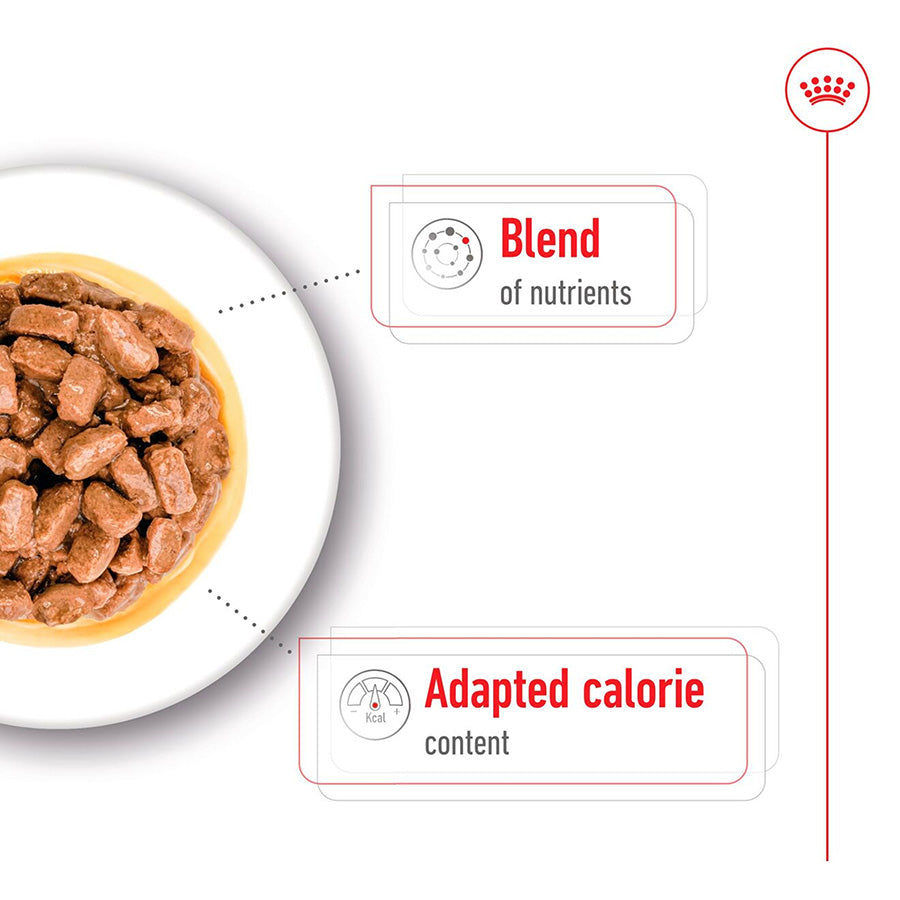 Bowl of pet food with text indicating 'Blend of nutrients' and 'Adapted calorie content' on a white background.