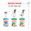 Royal Canin dog food packages for different life stages with text 'Nutrition tailored to your dog's age'.