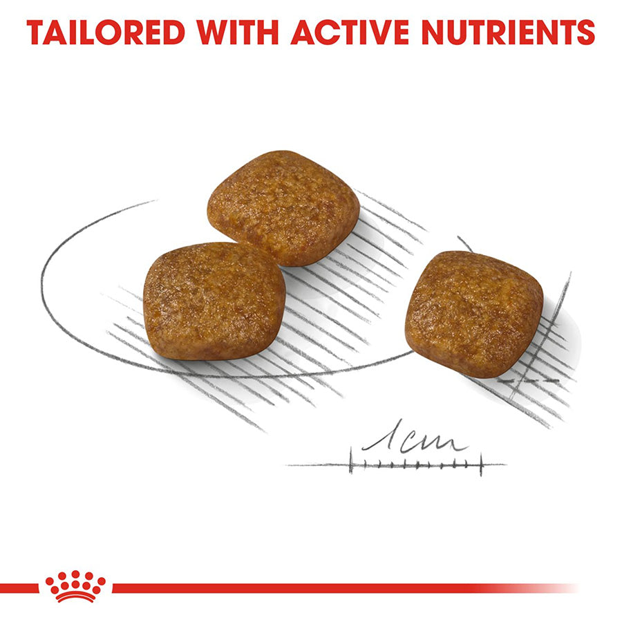 Three dog treats on a white plate with measurement scale, branded with a red banner and logo.
