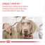 Dog being examined by a veterinarian with text advising to consult the vet before changing the dog's diet.