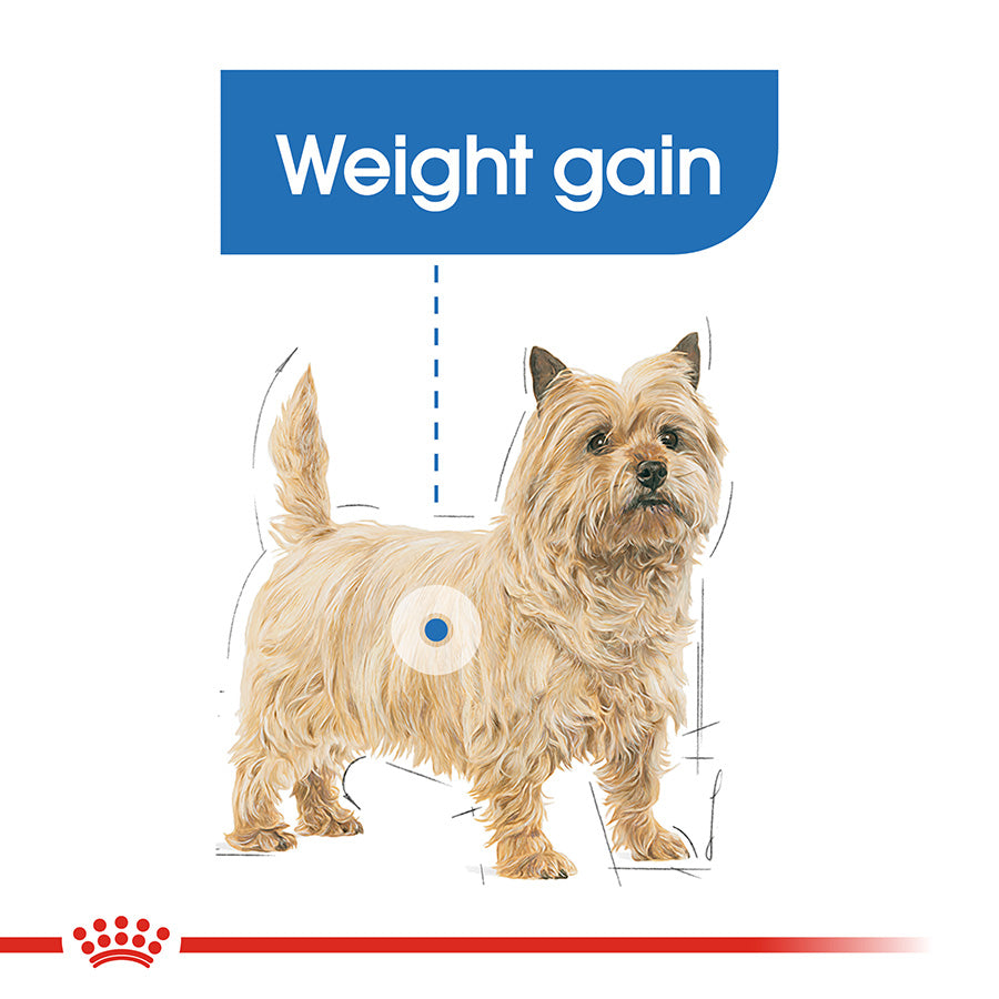 Dog with weight gain measurement chart on a white background, featuring a blue banner and red brand logo.