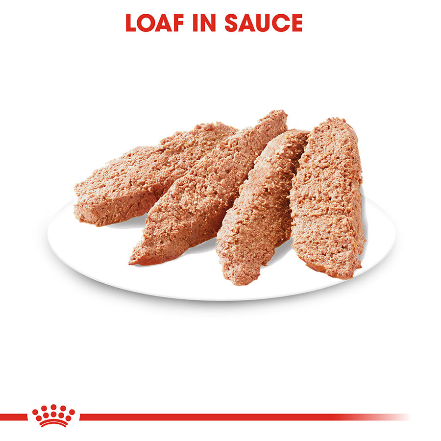 Three pieces of loaf in sauce on a white plate with 'Loaf in Sauce' text above.