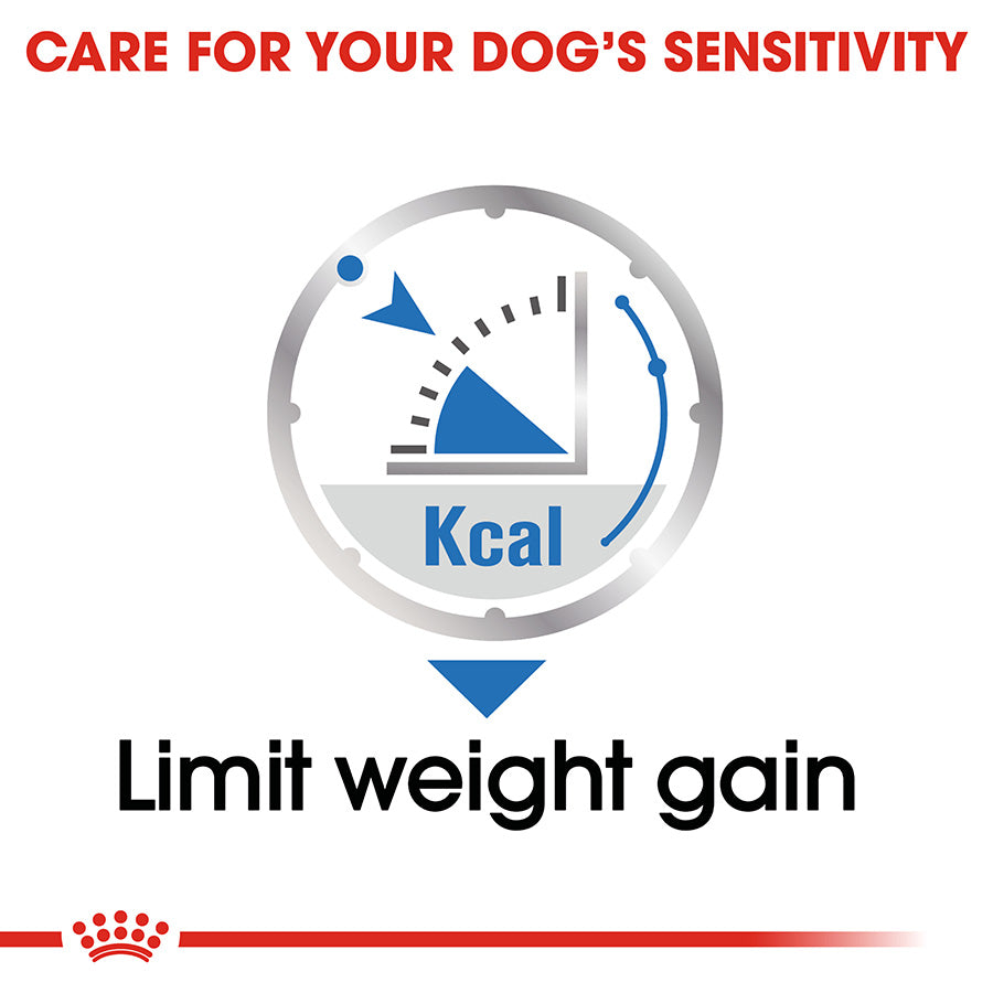 Dog food label with kcal indicator and text 'Care for your dog's sensitivity, limit weight gain' on a white background.
