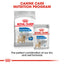 Royal Canin dog food packages with text on a white background