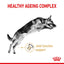 Dog jumping with 'Healthy Ageing Complex' text and joint function support icon on a white background
