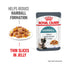 Royal Canin hairball reduction cat food pouch with text highlighting benefits on a white background