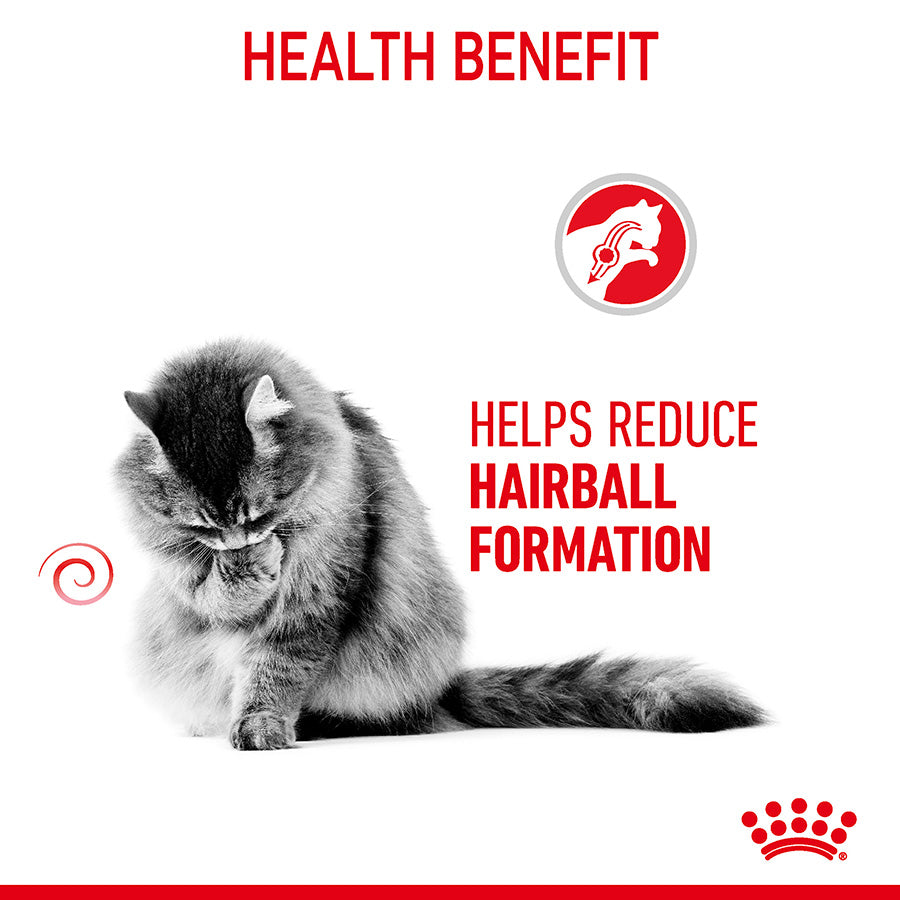 Cat with text 'Helps Reduce Hairball Formation' on a white background