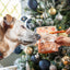 Rosewood Turkey & Carrot Chewy Wraps - 100g Grain-Free Dog Treats
