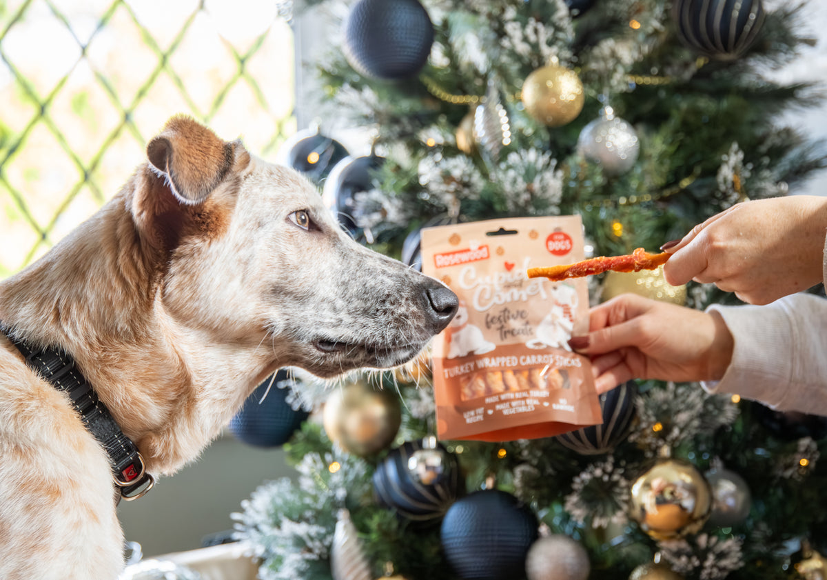 Rosewood Turkey & Carrot Chewy Wraps - 100g Grain-Free Dog Treats