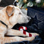 Rosewood Cupid & Comet Christmas Dinner Dog Stocking