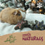 Natural Herb 'n' Hay Star Trio 🎄 Small Pet Christmas Treat by Cupid & Comet