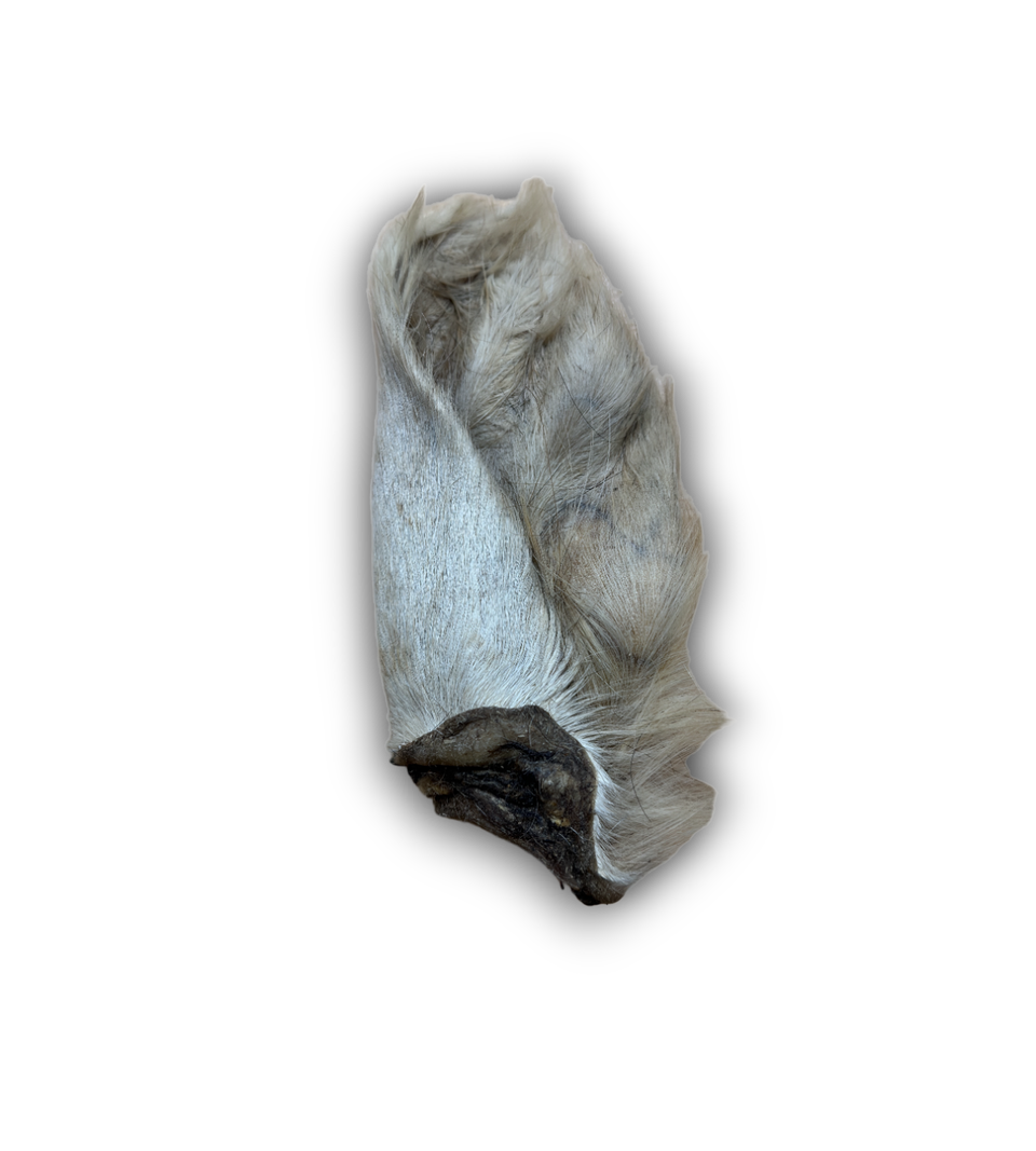 Anco Naturals Hairy Cow Ear 🐄 Natural Dog De-Wormer & Chewy Treat