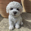 Vivid Arts Bichon Frise Puppy Pet Pal Ornament | Gift Boxed