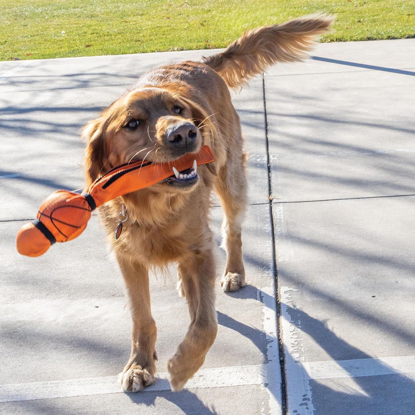 KONG Wubba Sport Large Dog Toy - Football or Basketball