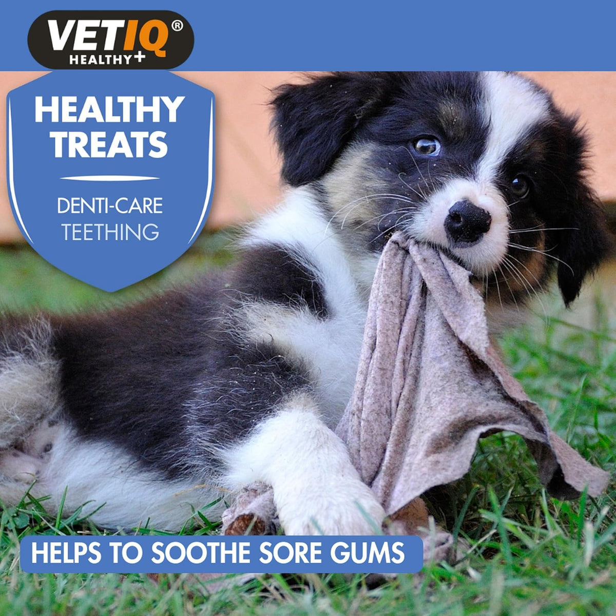 Vet IQ Puppy Healthy Treats Denti-Care for Soothing Irritated Gums 50g