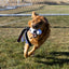 KONG Wubba Sport Large Dog Toy - Football or Basketball
