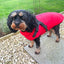 Happy Pet | Dog Walking | Red Harness & Jacket Combo