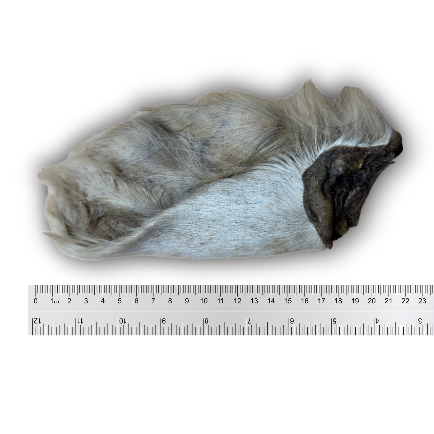 Anco Naturals Hairy Cow Ear 🐄 Natural Dog De-Wormer & Chewy Treat