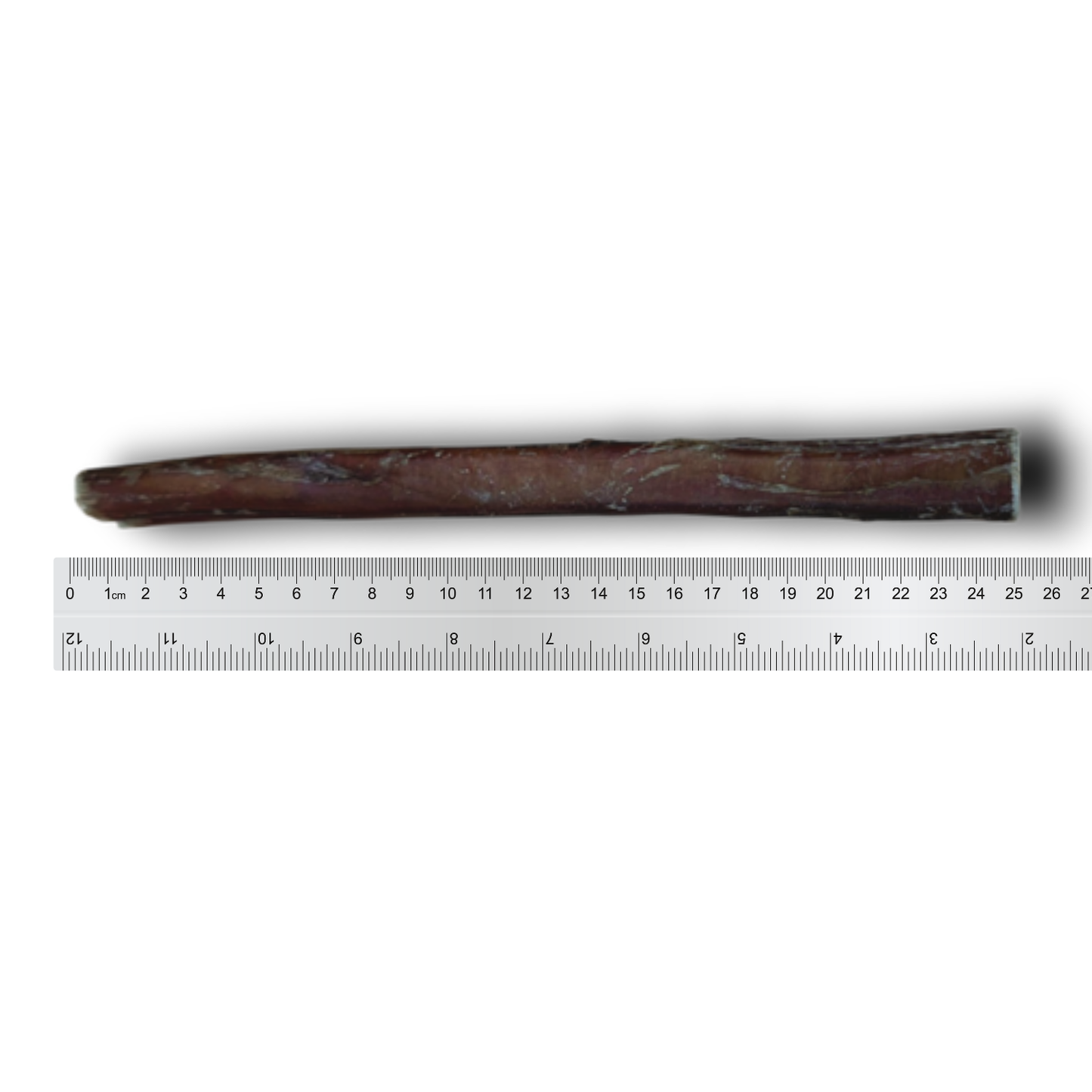 Anco Bully Pizzle Stick Large Low-Fat, High-Protein Dental Dog Chew