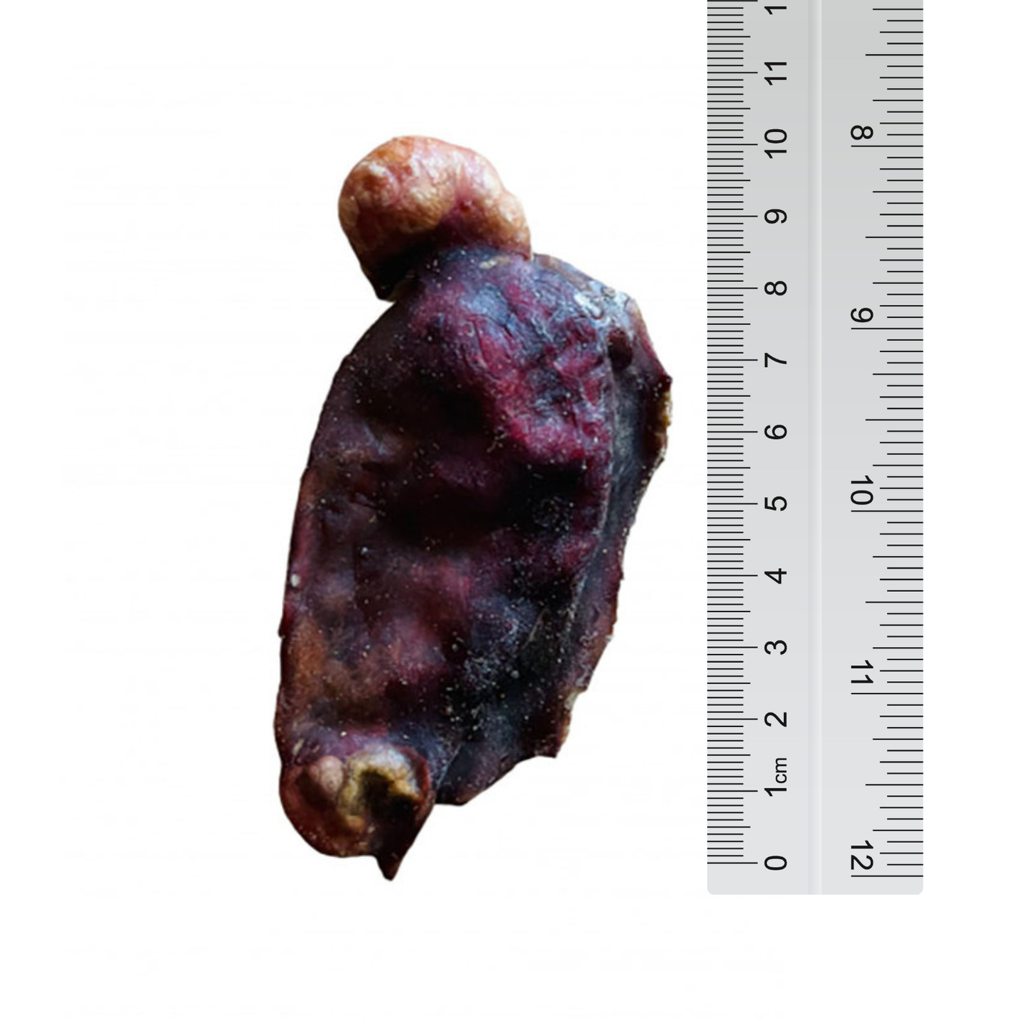 Anco Bully Danglers Easily Digestible, High-Protein Dog Treat