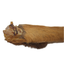 Anco Hairy Roe Deer Leg Novel Protein Natural De-Wormer Dog Treat Chew