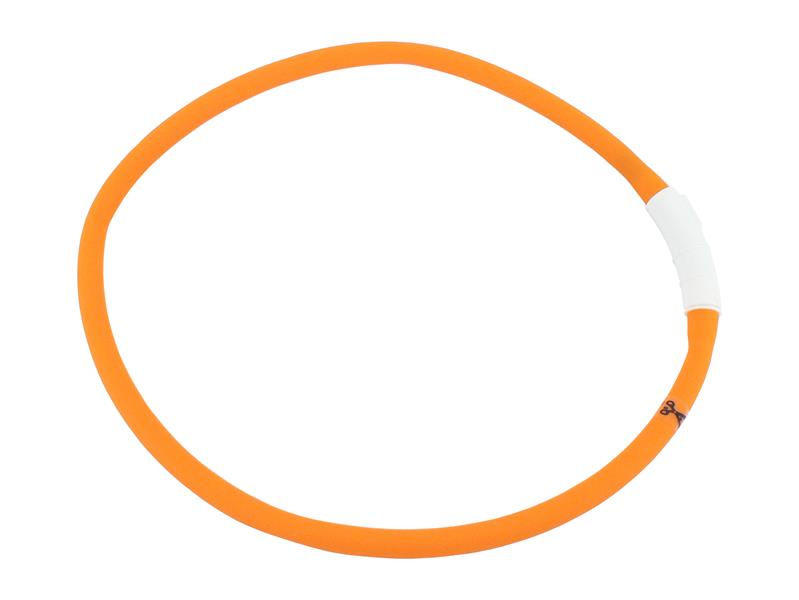 Ancol USB Rechargeable Safety Halo | Dog Collar for Dark Nights