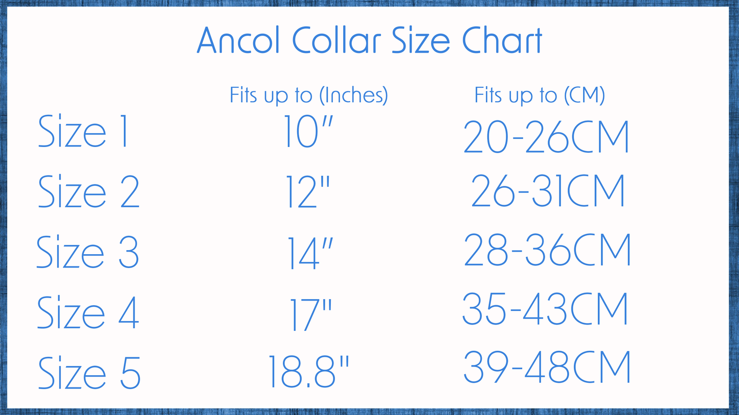 Ancol | Dog Collar | Polyweave Nylon - Blue