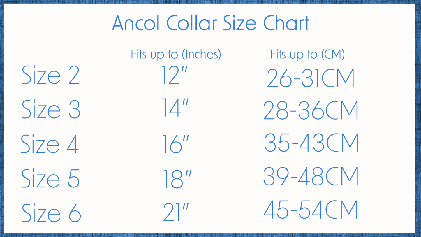 Ancol | Leather Sewn/Studded Dog Collar | Red