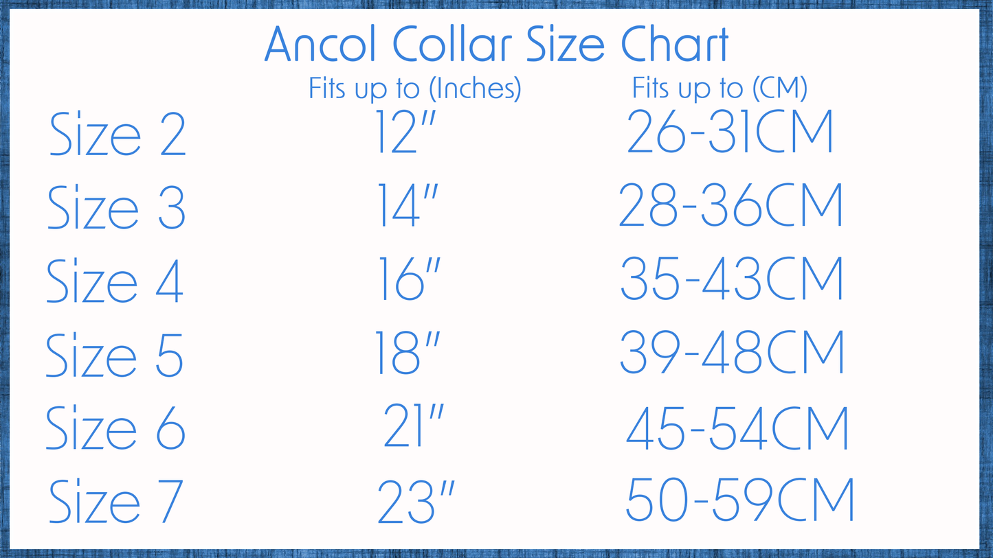 Ancol | Leather Sewn/Studded Dog Collar | Tan