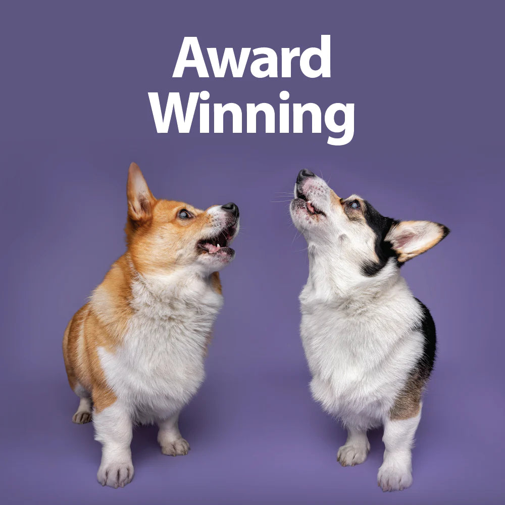 Two dogs on a purple background with 'Award Winning' text above them.