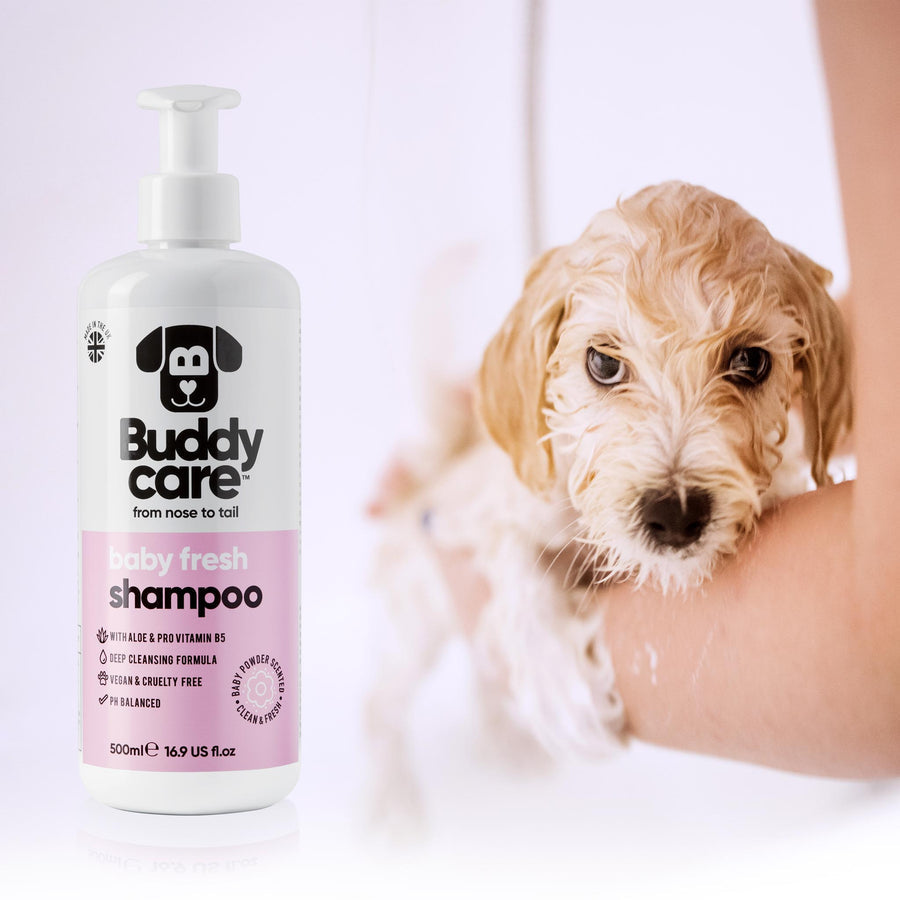 Buddycare | Baby Powdered Scent Fresh Shampoo for Dogs - 500ml