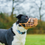 Baskerville | Dog Behaviour & Training | Lightweight Basket Muzzle  - Classic