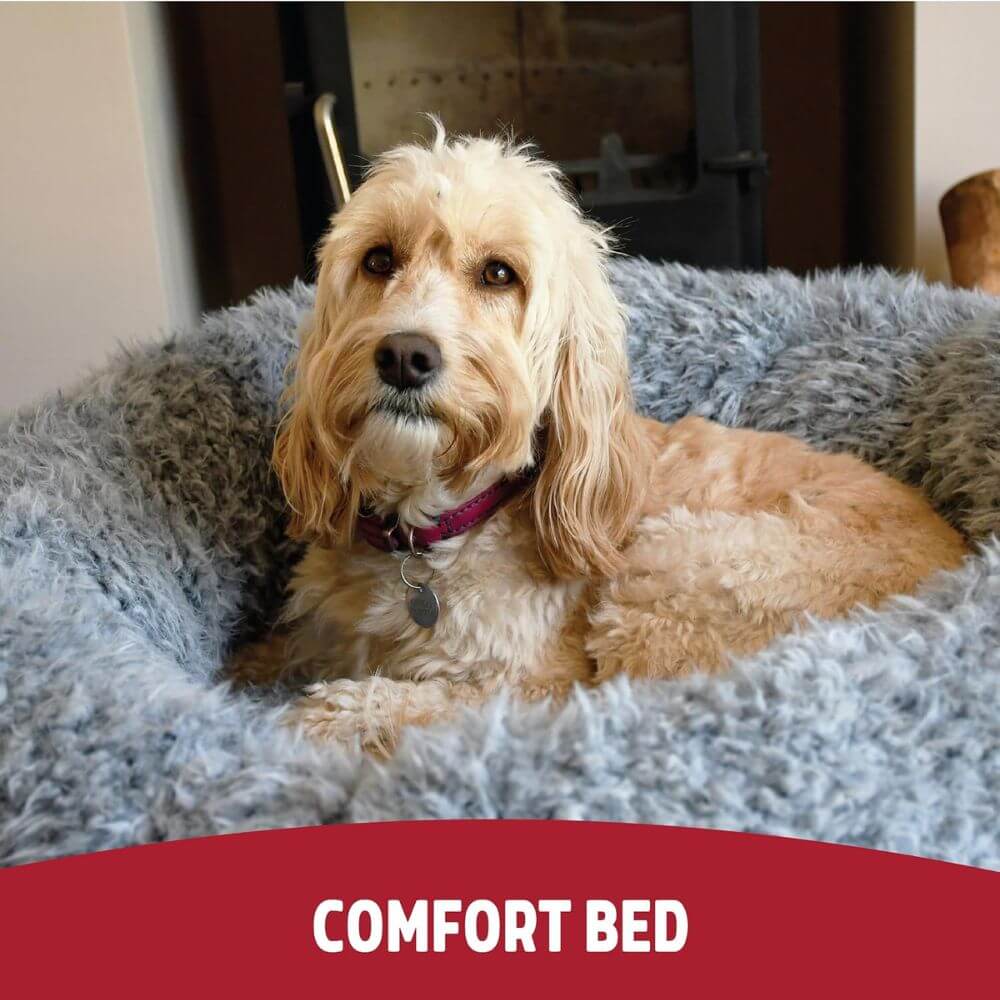 Rosewood Silver Fluff Comfort Bed medium (66x66x12cm)