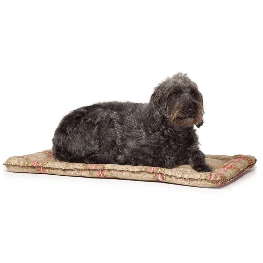 Danish Design Newton Moss Cage Mat Large 60x91cm